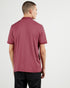 <P>Ss Polo</P>